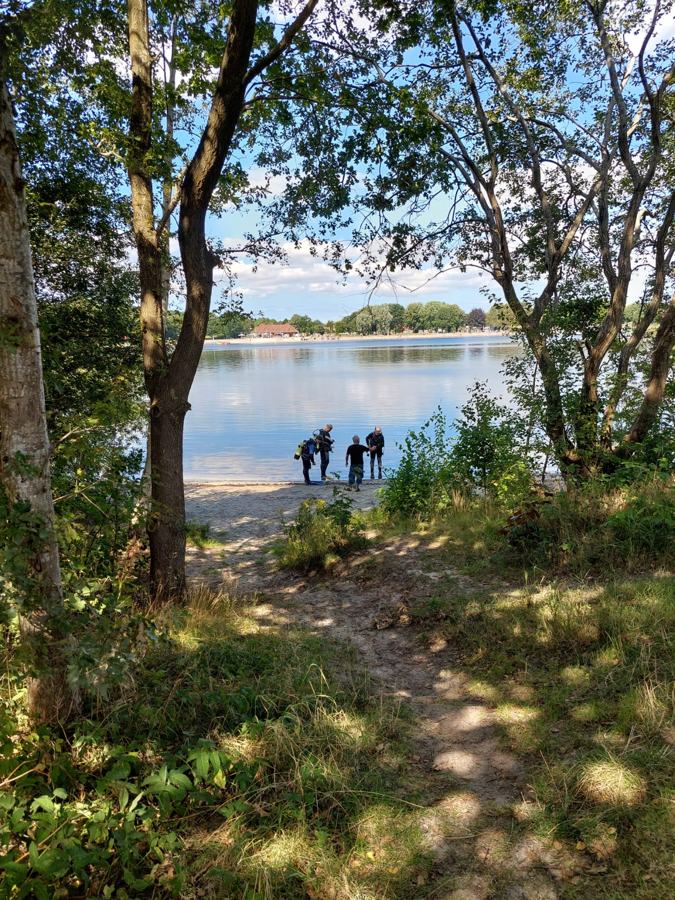Blick durch die Bäume auf Taucher am Ufer des Sees