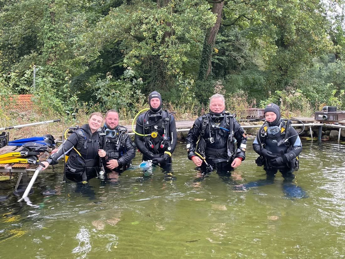 Fünf Taucher im Wasser