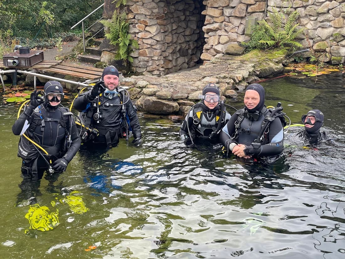 Fünf Taucher im Wasser vor der Steingrotte