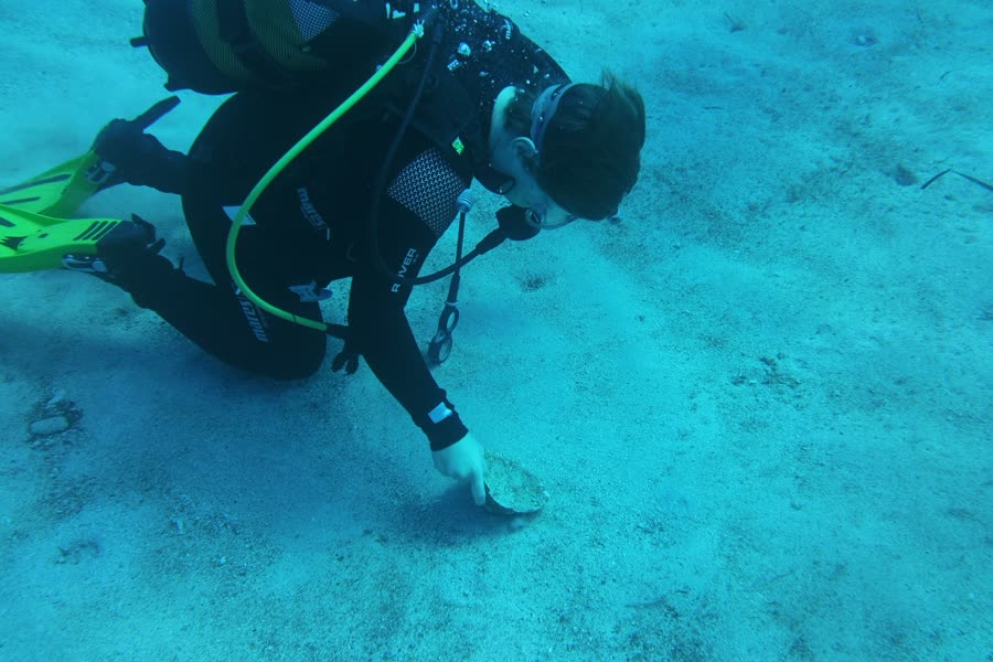 Taucherin untersucht etwas am Sandboden